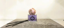 Carica l'immagine nel visualizzatore di Gallery, Profumatore Ambiente bastoncini AMV LIVING VENEZIA 200ml VIOLET